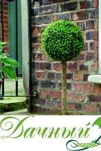 Растение Topiary Ball дерево 80 см (арт. 02816)