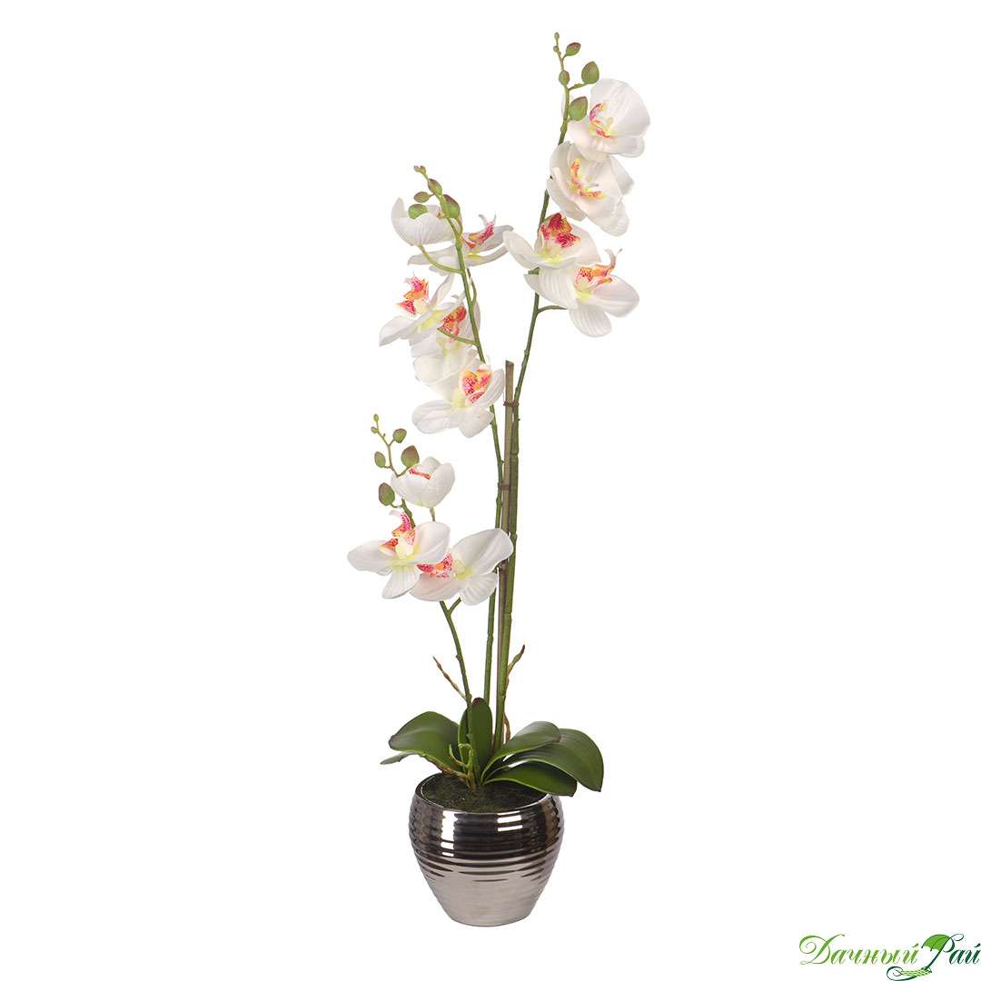  Орхидеи в керамической вазе 12*62 см, белый (YW-SUH27)