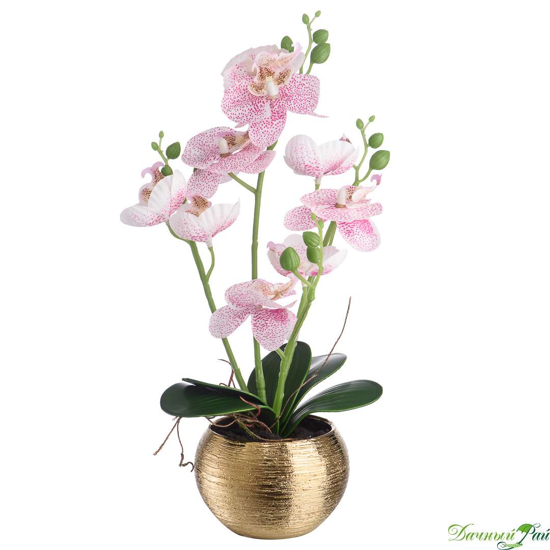 Орхидея в золотом кашпо 36 см, нежный (YW-41)