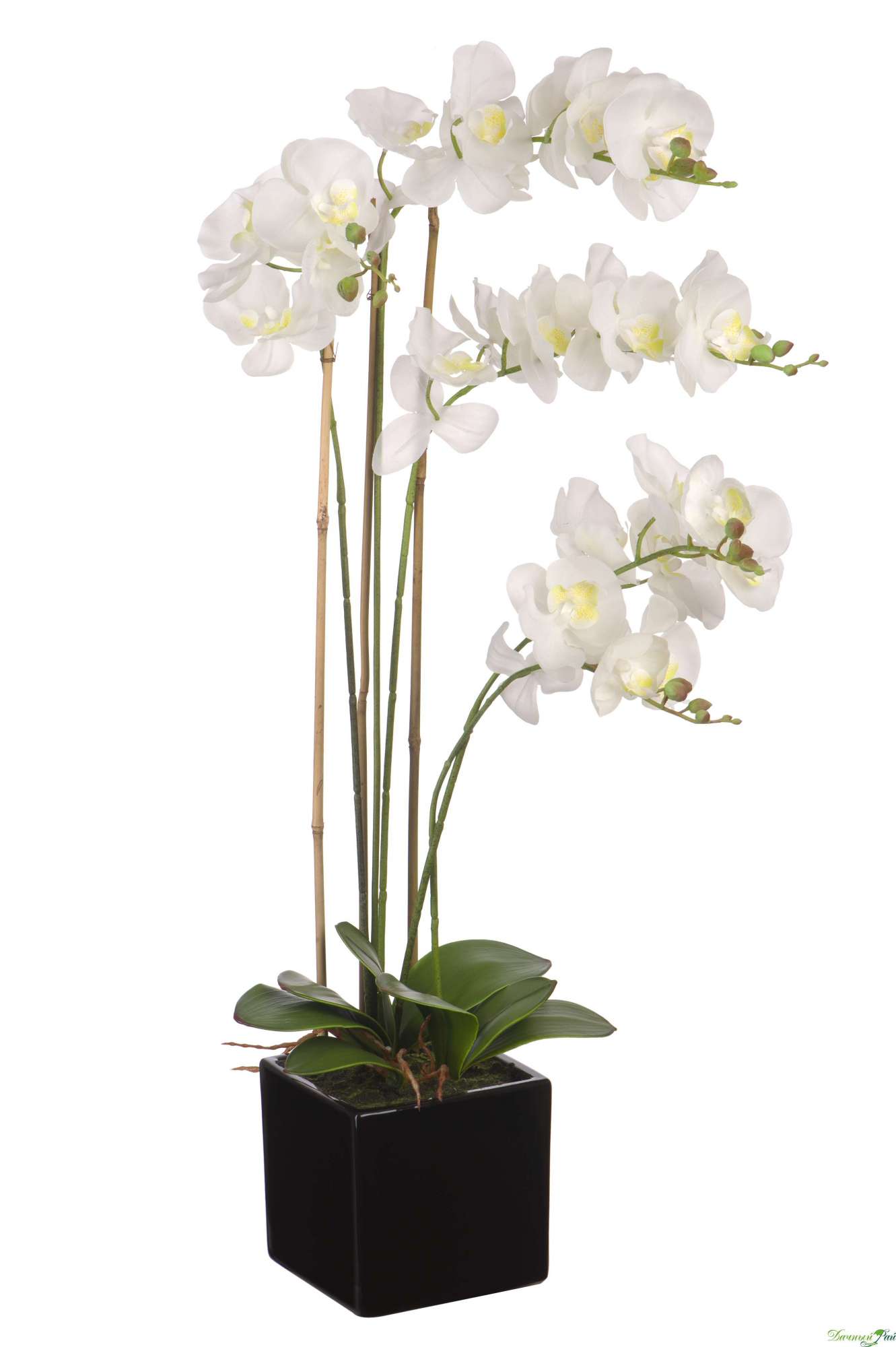 Орхидея в черном керамическом горшке 80 см, белый (YW-36)