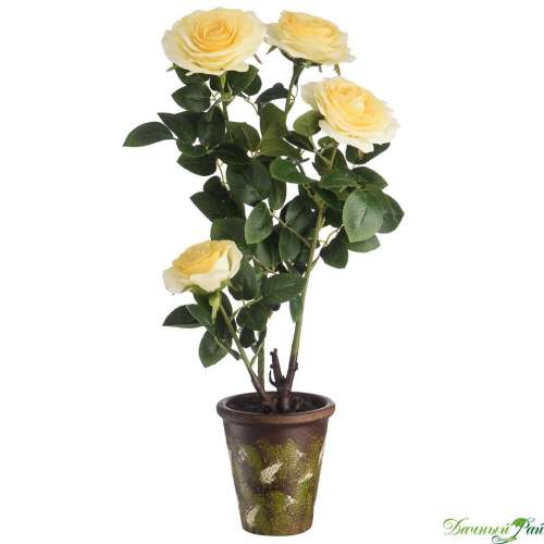  Роза куст в кашпо 64 см, желтый (YW-42)