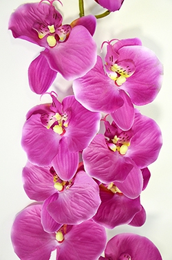 Орхидея Фаленопсис одиночная розовая, Н=124 см (16-0071)