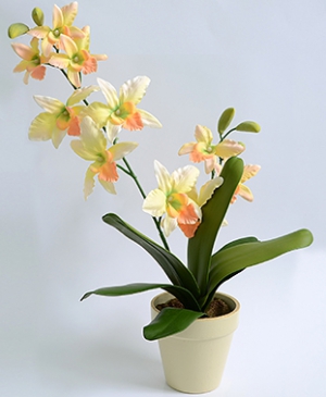 Орхидея цимбидиум в кашпо жёлтая (16-0059)
