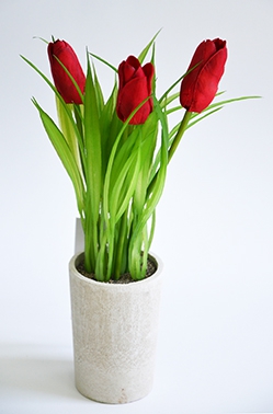Тюльпаны в кашпо красные мини, Н=21 см (16-0109)
